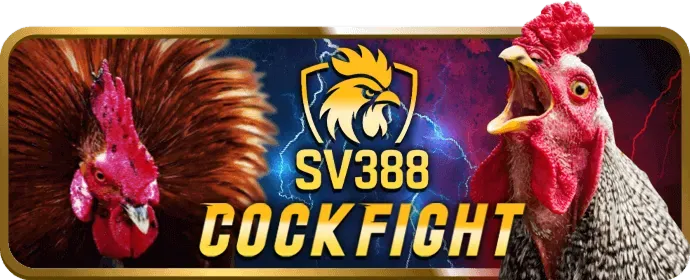 Chương trình hoàn trả hàng ngày 3nk88